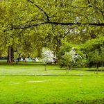 Green-park-area